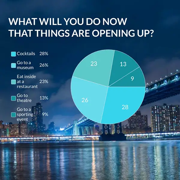 pie chart nyc activities