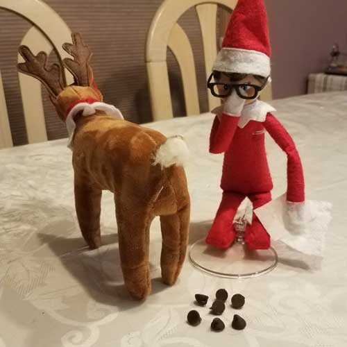 elf on the shelf reindeer poop