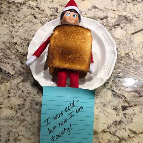 toasty elf on the shelf