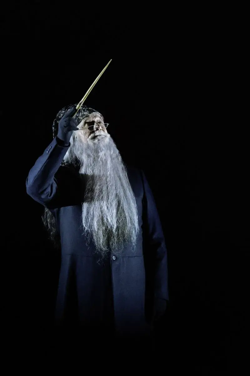 dumbledore broadway