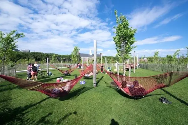 hammock grove on governors island