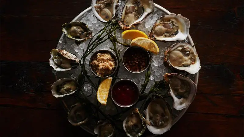 oysters the roxy bar