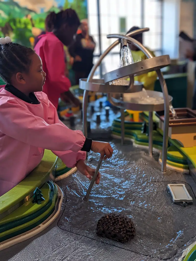 bronx children's museum