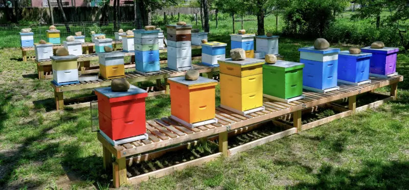 queens county farm apiary