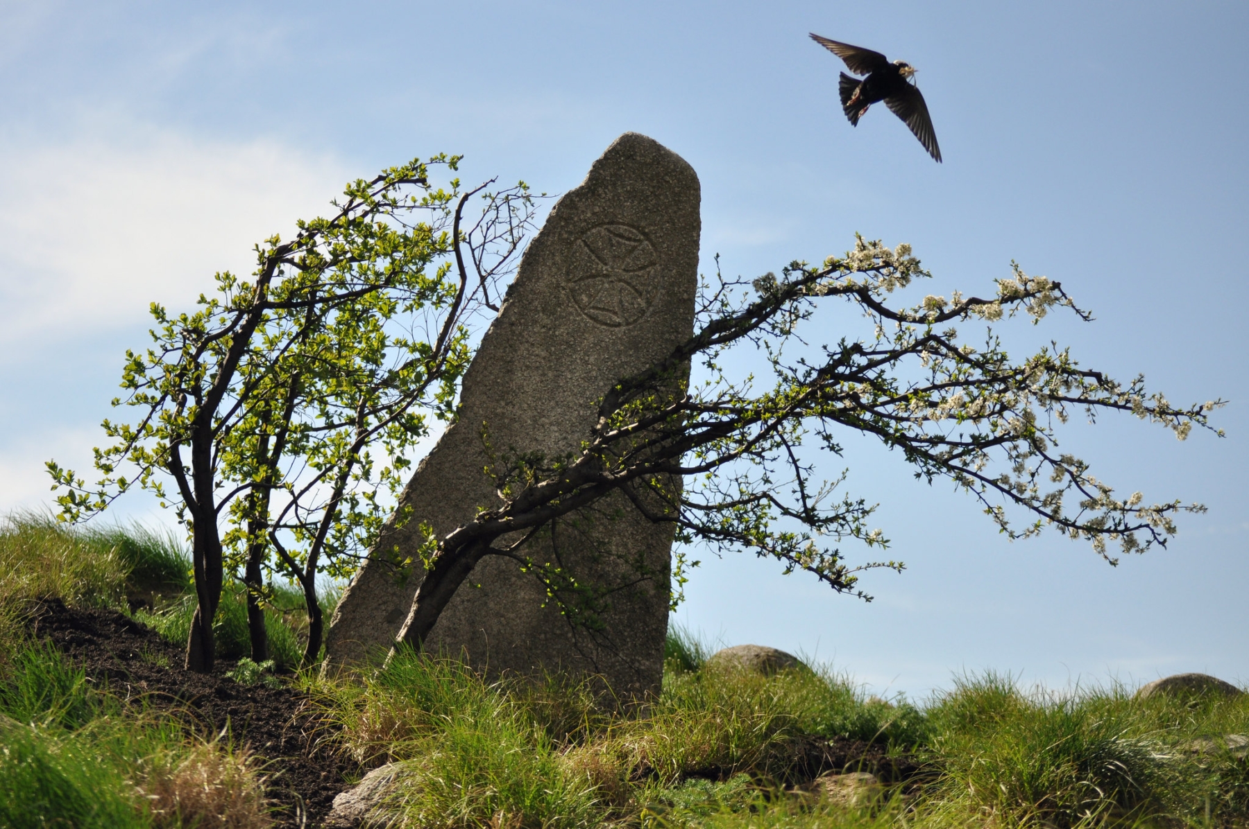 spring irish hunger memorial battery park
