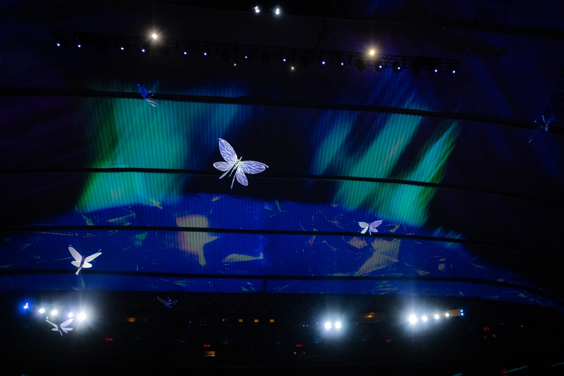 frost fairy drones christmas spectacular