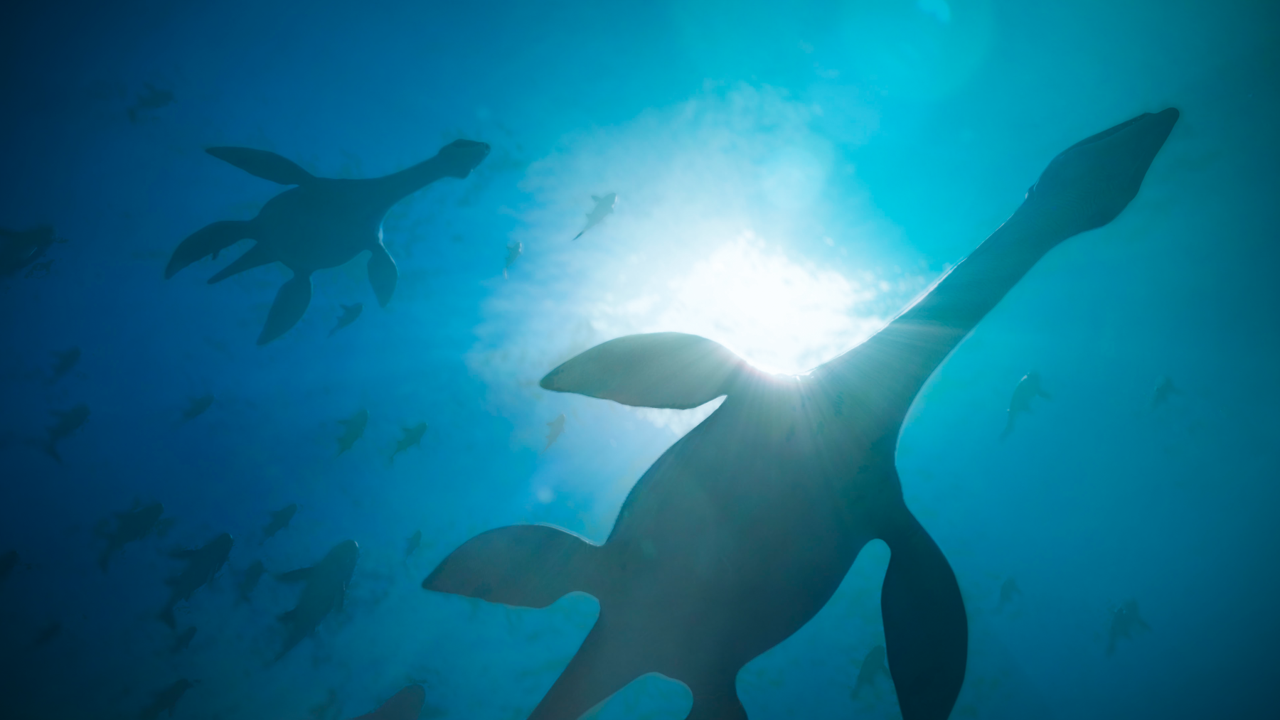 swimming reptiles vr life chronicles