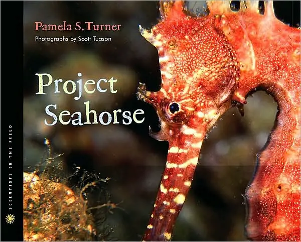 project-seahorse, summer-reading-book