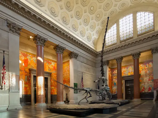 theodore roosevelt rotunda at the natural history museum in nyc