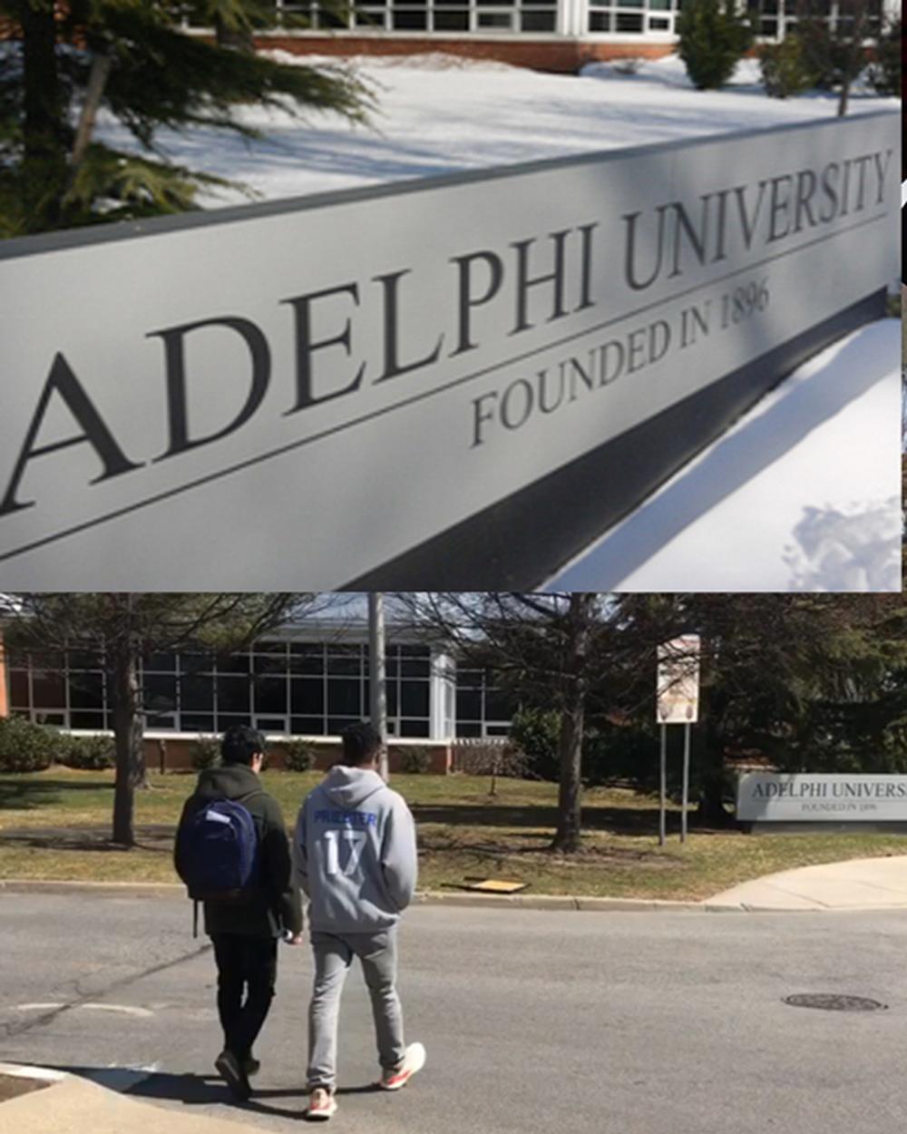 Adelphi Partnership Program