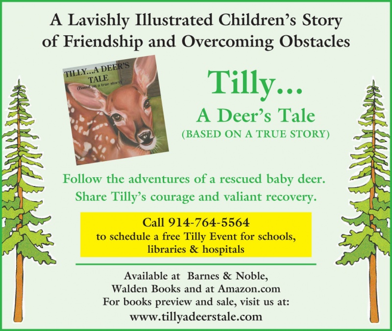 Tilly-- A Deer's Tale