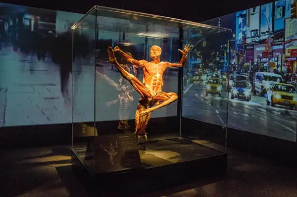 An exhibit at Discovery Times Square.