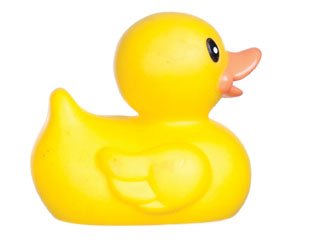 rubber duckie