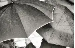 Rainy day umbrellas