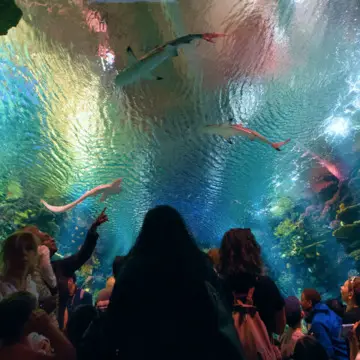 new york aquarium