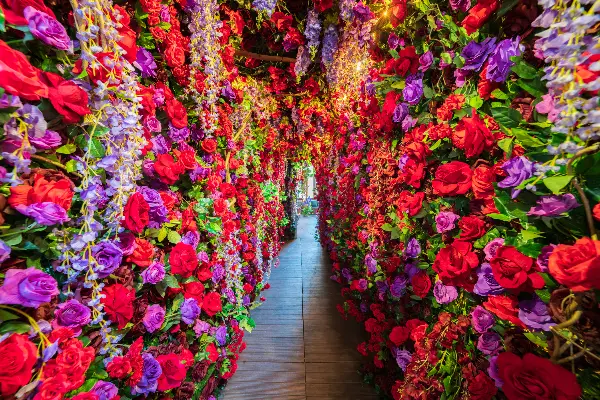 floral tunnel midwinters night dream