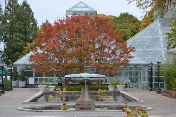 A beautiful fountain at Brooklyn Botanic Garden.