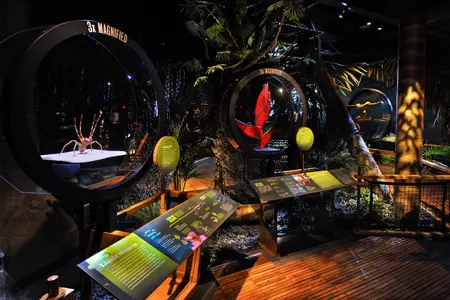 The Cocho Rain Forest diorama at AMNH's Power of Poison Exhibit