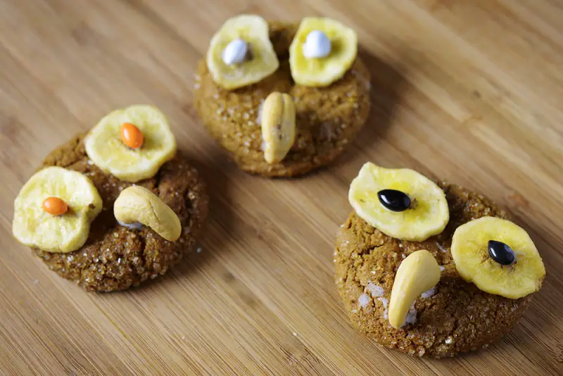 halloween owl cookies