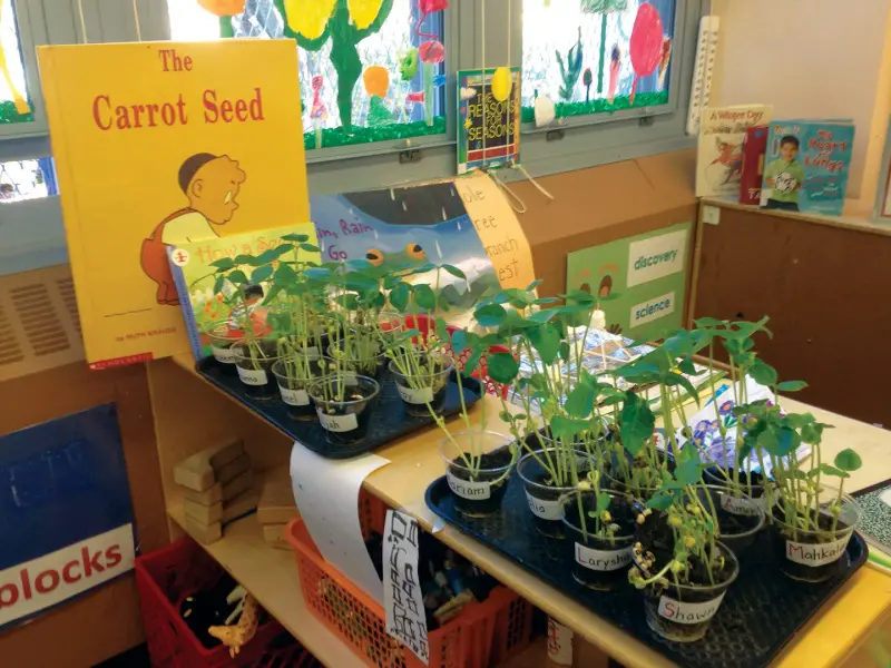 classroom plants